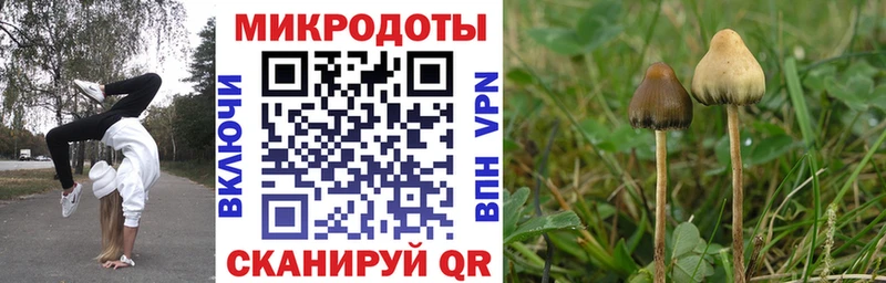 купить наркотики цена  Кизляр  ссылка на мегу вход  Псилоцибиновые грибы MAGIC MUSHROOMS 