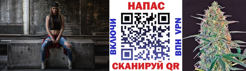 где купить наркотик  Кизляр  Бошки марихуана Bruce Banner 